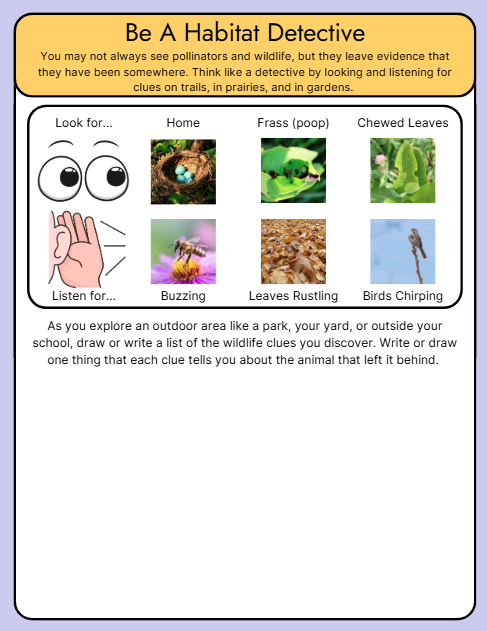 Exploring With Monarchs: Read, Discover, Grow-Activity Example no. 3