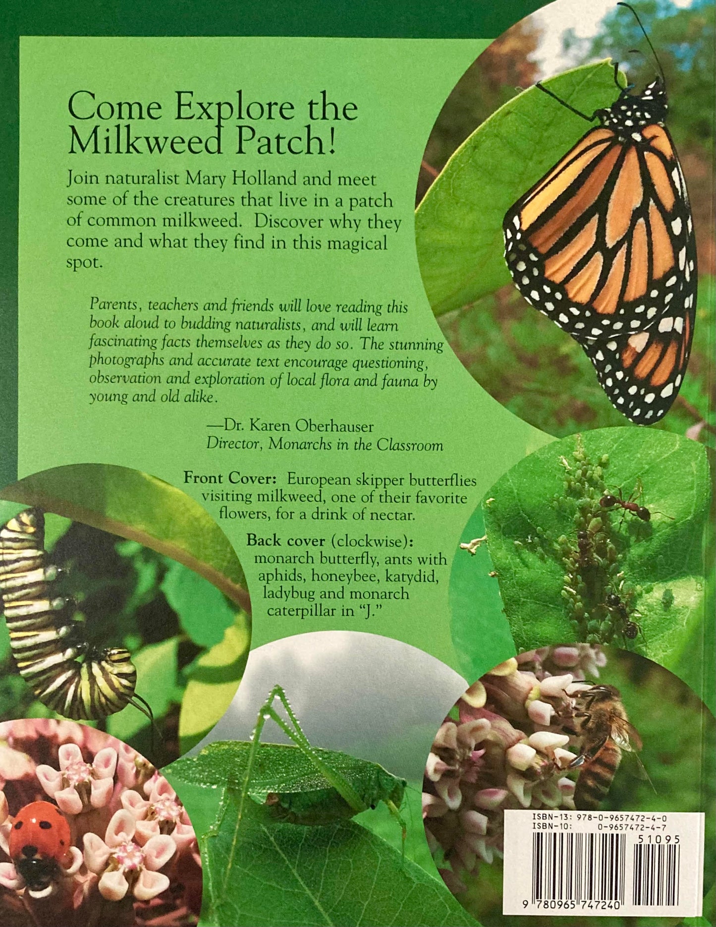 Book: Milkweed Visitors