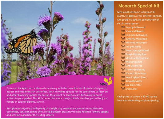 Monarch Special Native Plant Kit