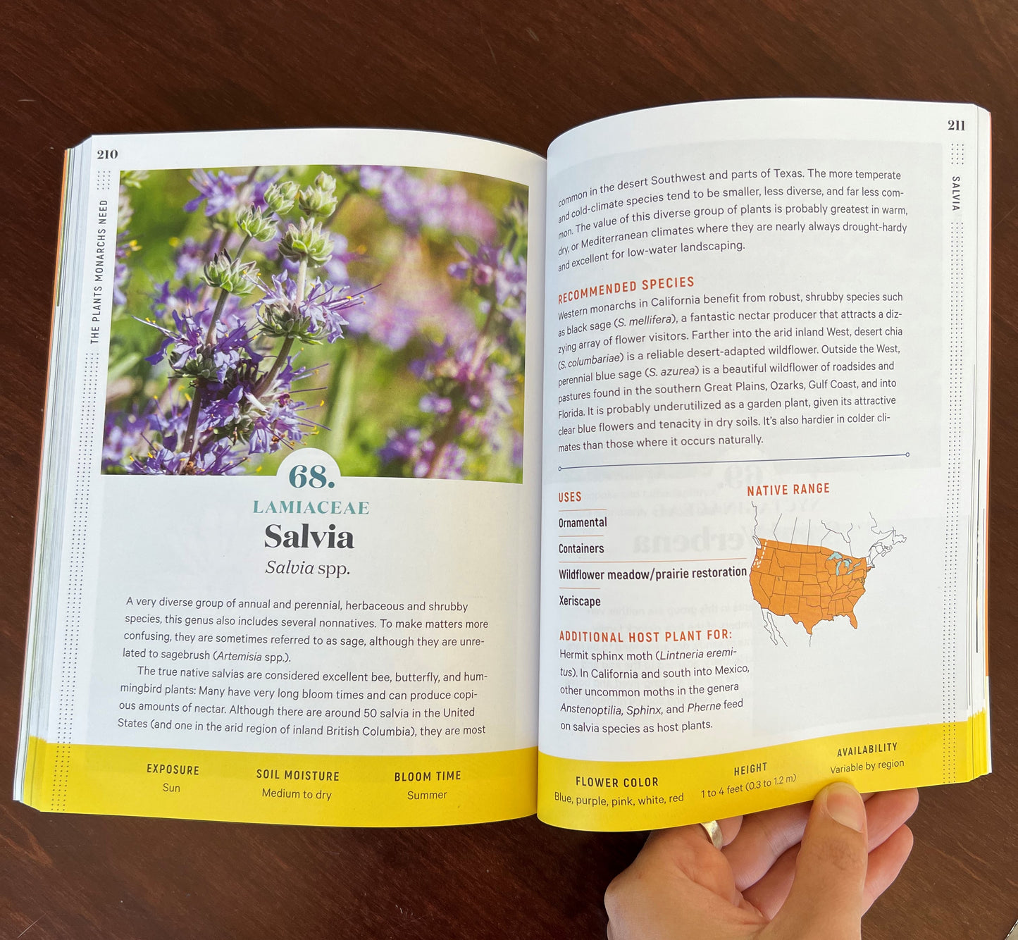 100 Plants to Feed the Monarch