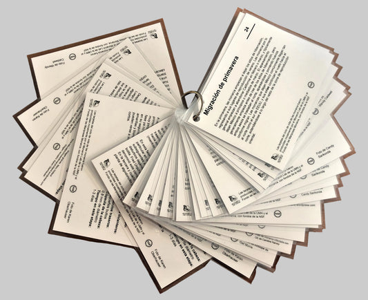 Spanish Life Cycle Cards Backs