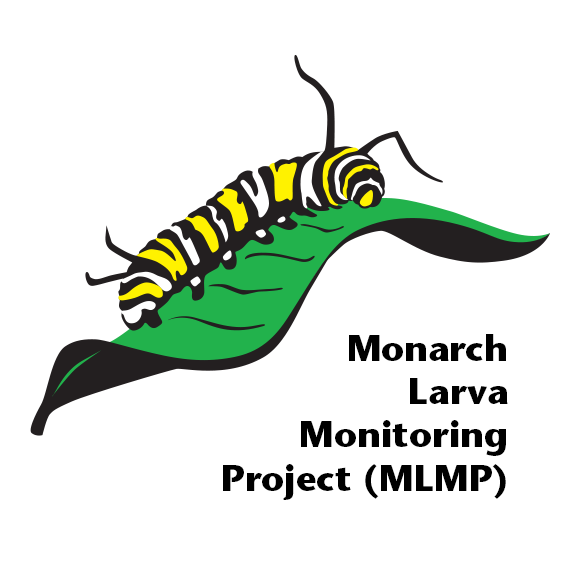 Monarch Larva Monitoring Project (MLMP) virtual trainings