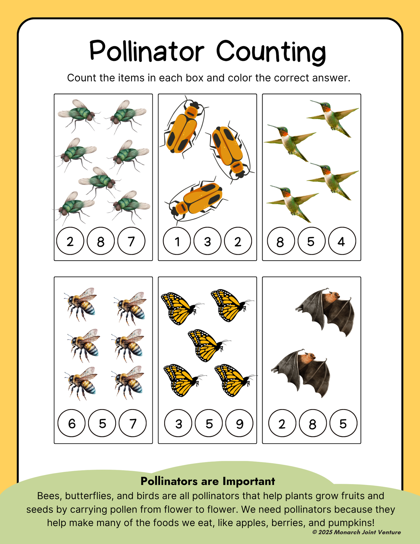 Growing With Monarchs: Learn, Play, Explore - Activity Book for Kids - Life Cycle - Hardcopy