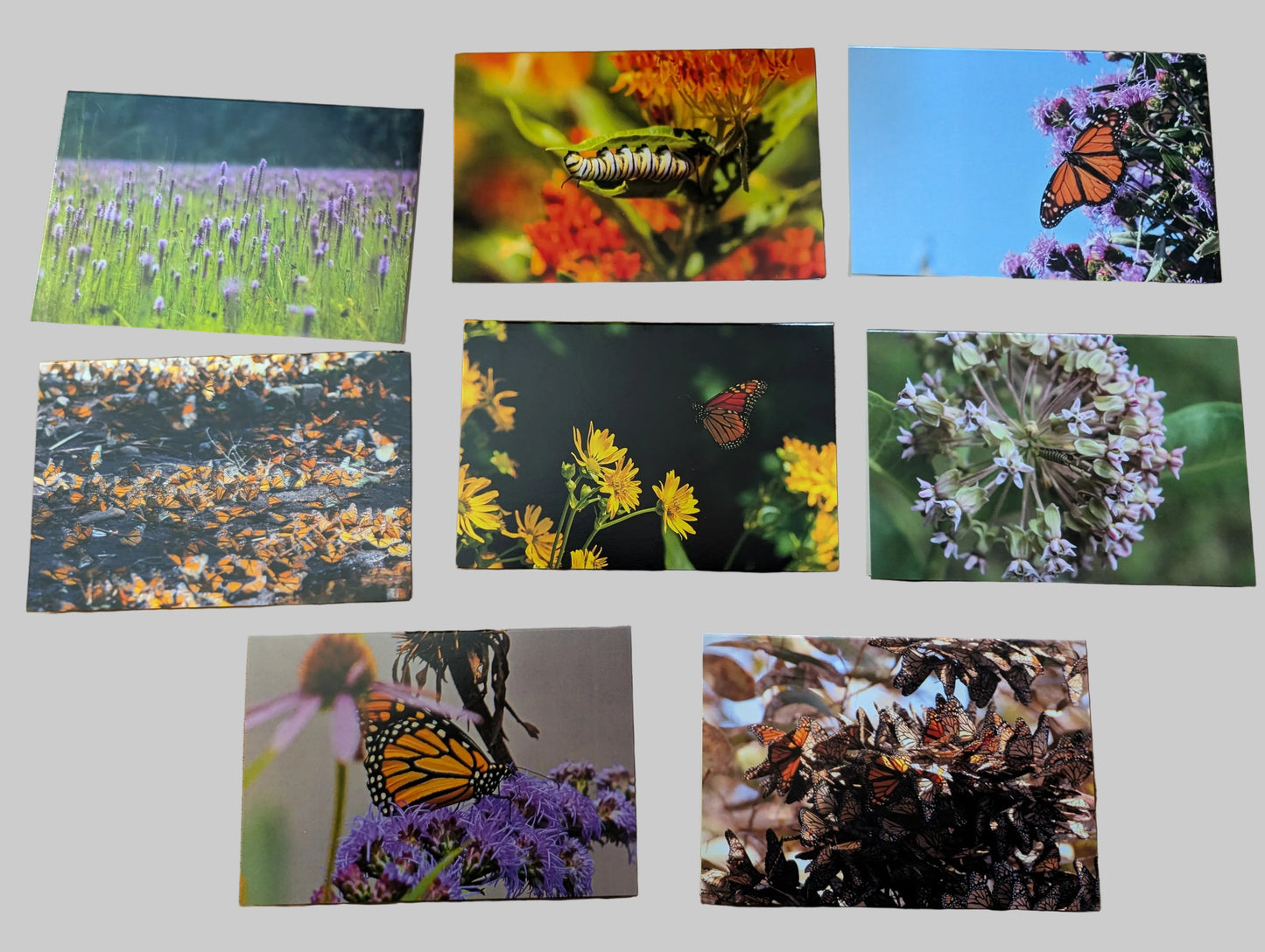 8 Greeting Card Pictures