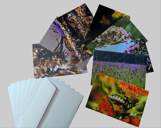 8 Greeting Cards With Envelopes