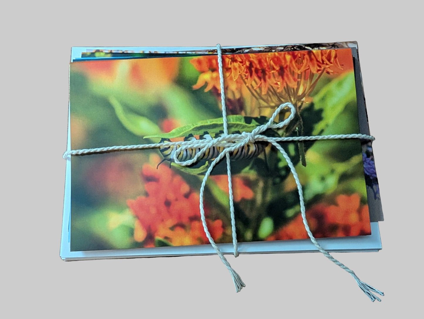 Bundled Greeting Cards