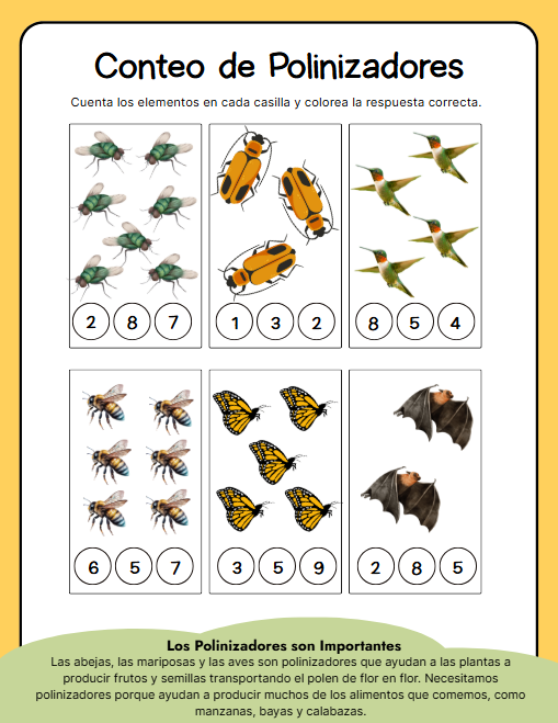 Creciendo con las Monarcas: Aprende, Juega, Explora-Activity Example no. 3