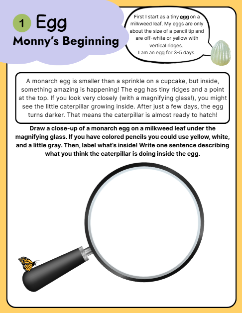 Exploring With Monarchs: Read, Discover, Grow-Activity Example no. 2