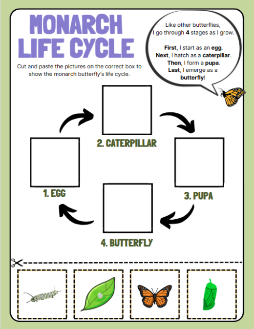 Growing with Monarchs: Learn, Play, Explore: Activity Example no. 1