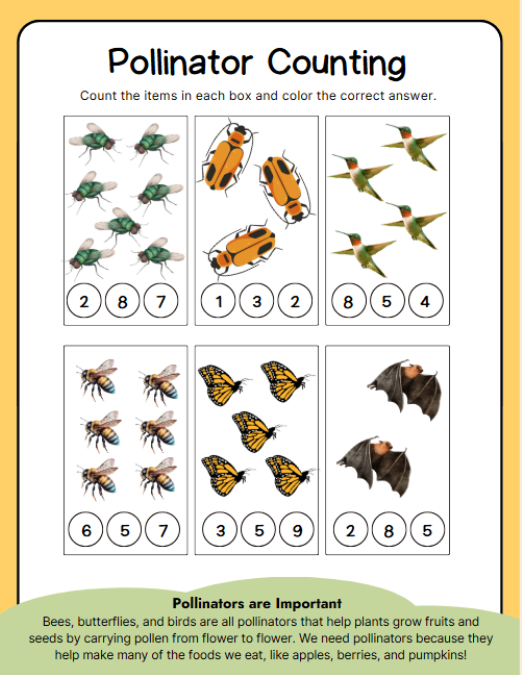 Growing with Monarchs: Learn, Play, Explore: Activity Example no. 3