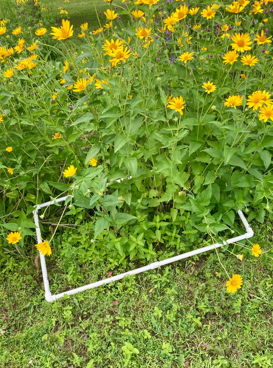 IMMP Sampling Frame