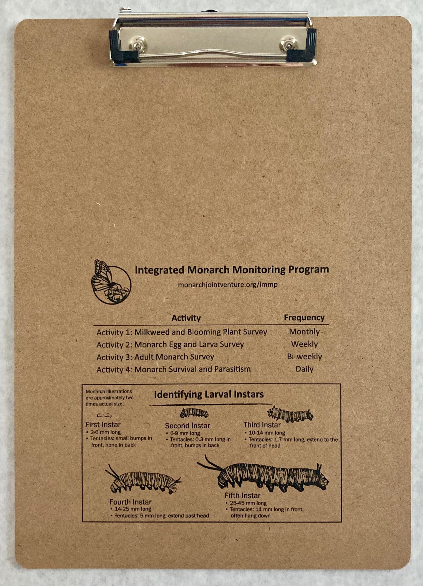 IMMP Clipboard