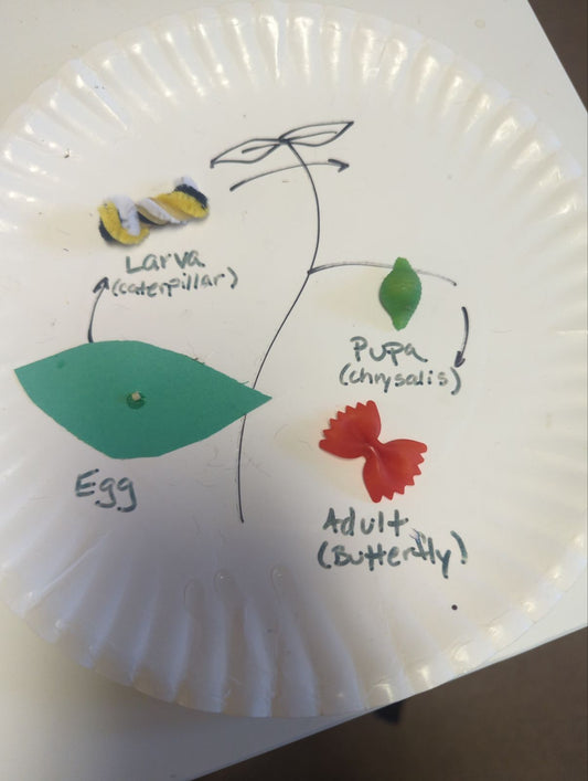 Monarchs and More Activity Kits