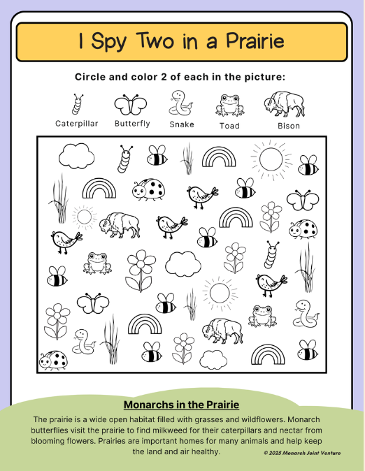 Journey with Monarchs: Learn, Play, Explore: Activity Example no. 1