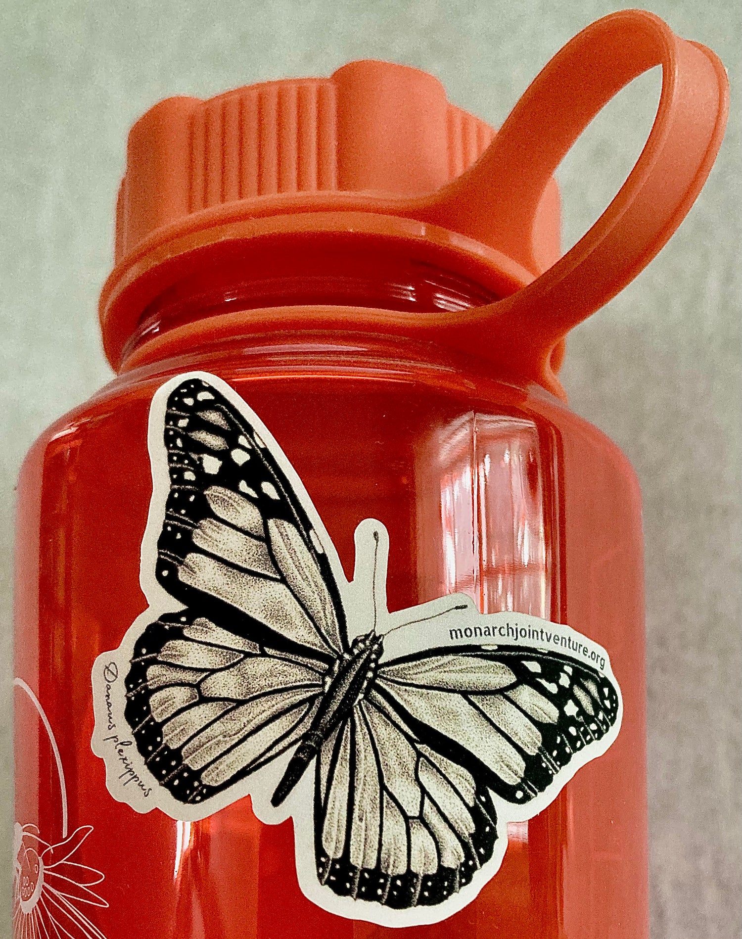 Monarch Butterfly Water Bottle Sticker
