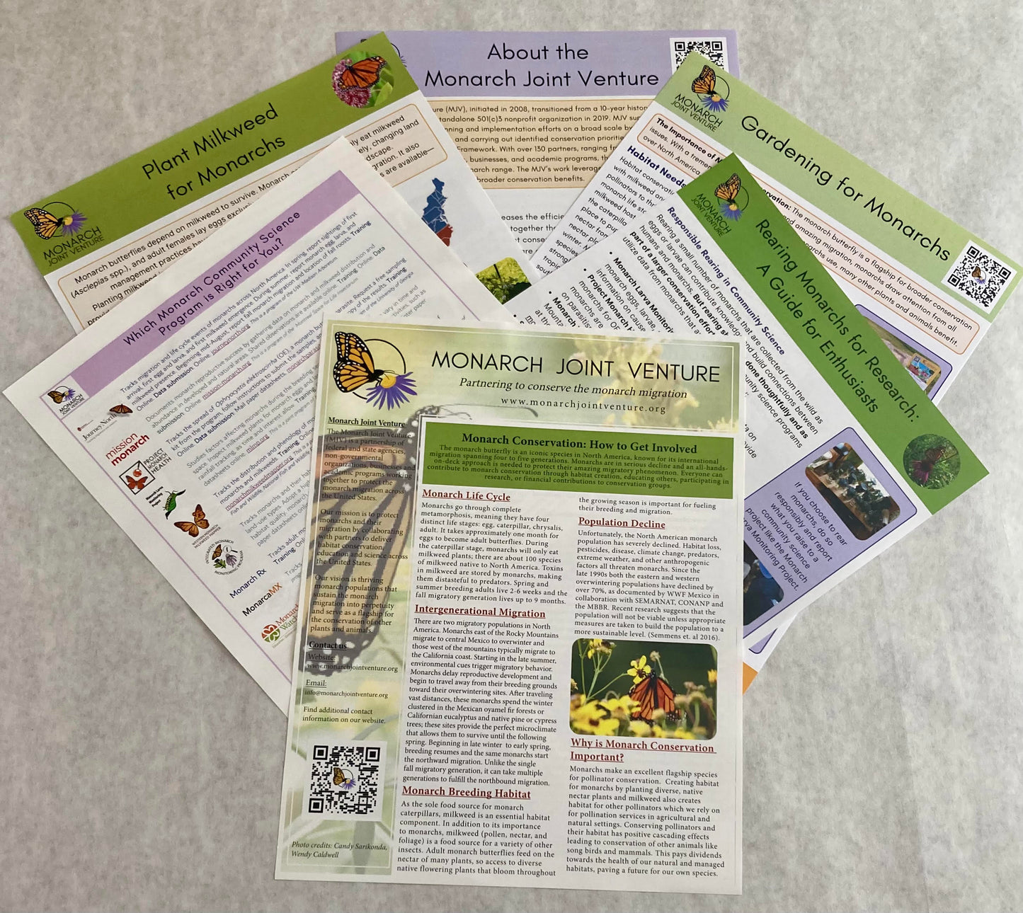 Handouts: Outreach Collection