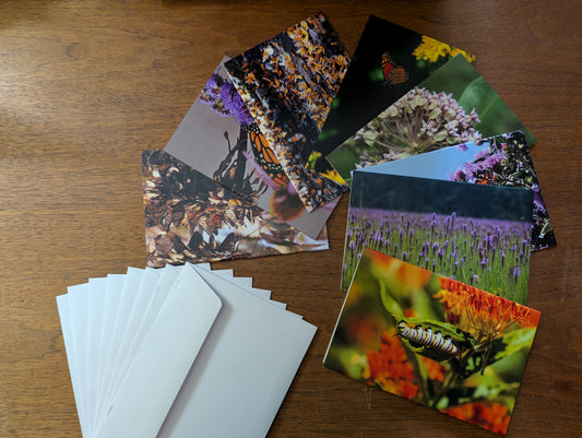 Greeting Card Set