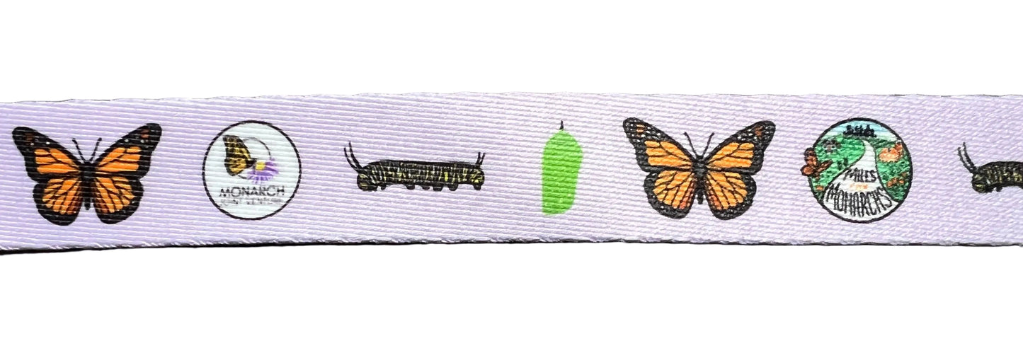 Pet Leash Close Up Design