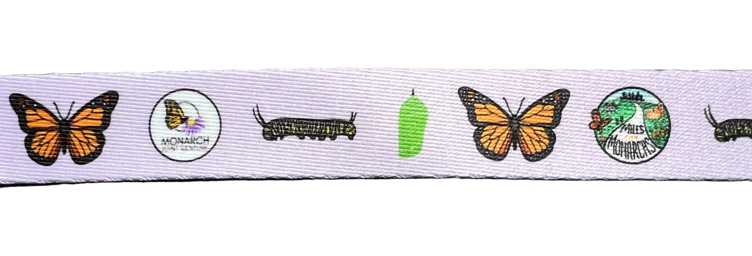 Pet Leash Close Up Design