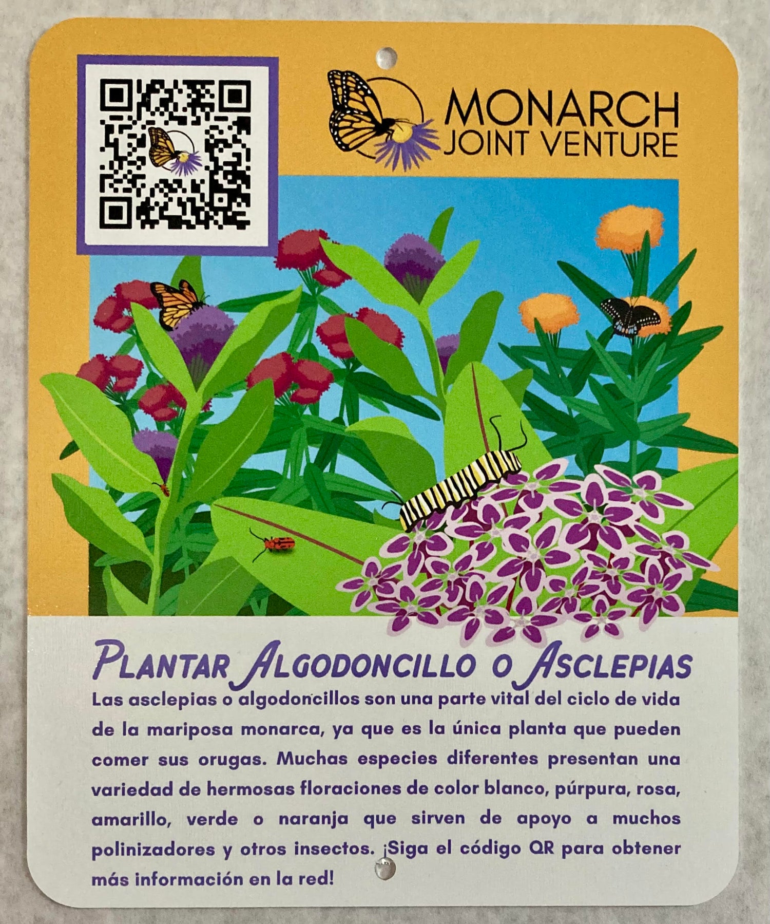 Plantar Algodoncillo o Asclepias Habitat Sign