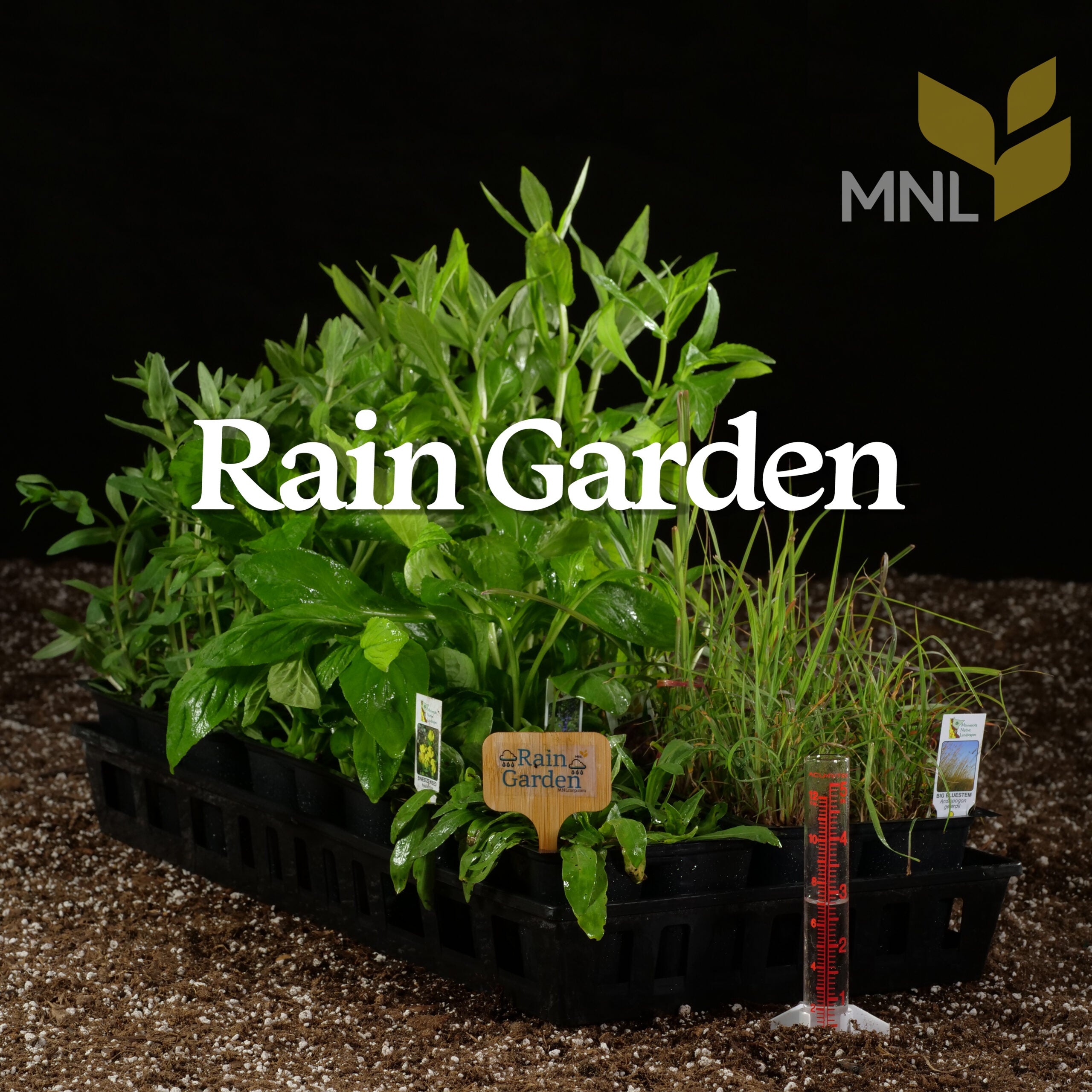 Rain Garden Native Plant Kit – Monarch Joint Venture Store