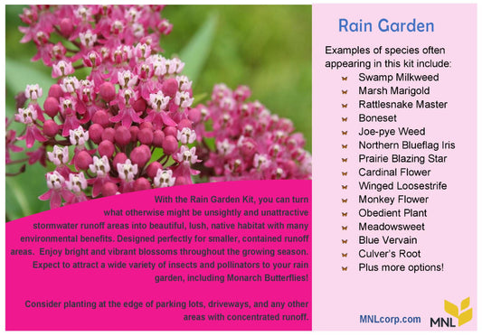 Rain Garden Native Plant Kit