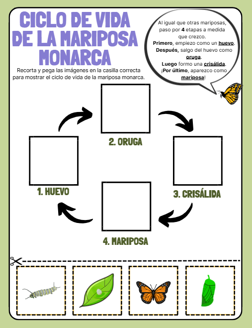 (ESPAÑOL): Growing With Monarchs: Learn, Play, Explore - Activity Book for Kids - Life Cycle Libro de actividades Creciendo con Monarcas: Ciclo de vida