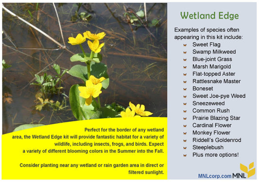 Wetland Edge Native Plant Kit