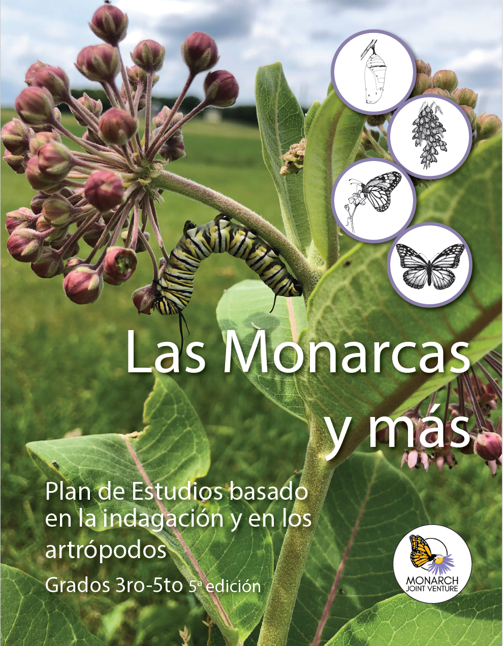 Digital Download: Spanish (Español) Monarchs and More Curriculum Guide - Grades 3-5 - 5th Edition