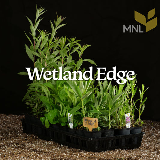 Wetland Edge Native Plant Kit