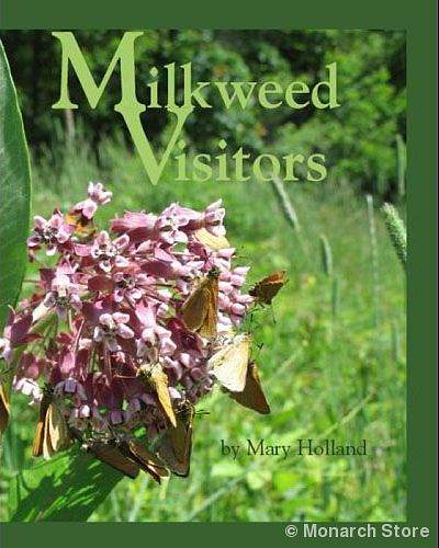 Milkweed Visitors