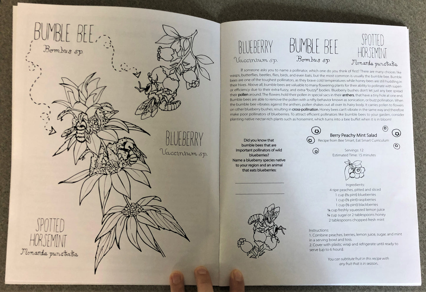 Connect to Protect: Coloring Book