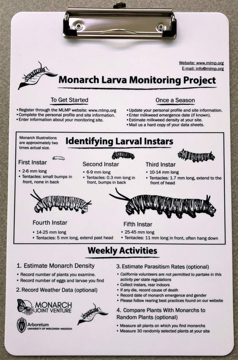 MLMP Clipboard