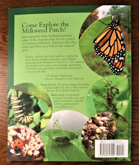 Milkweed Visitors