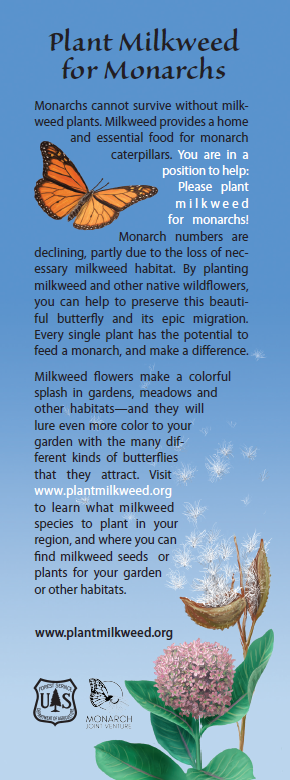 Plant Milkweed Bookmark Back