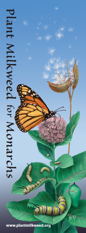 Plant Milkweed Bookmark Front