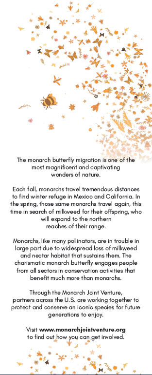 Pollinator Ambassador Bookmark Back